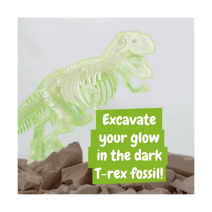 Fossil Excavation Kit I. Jogo didático para crianças