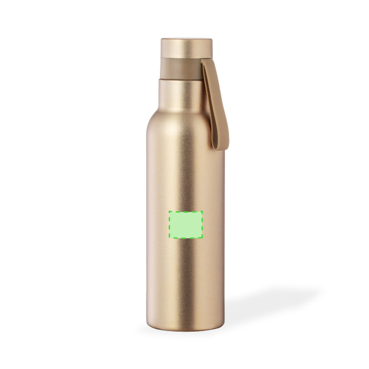 Roach