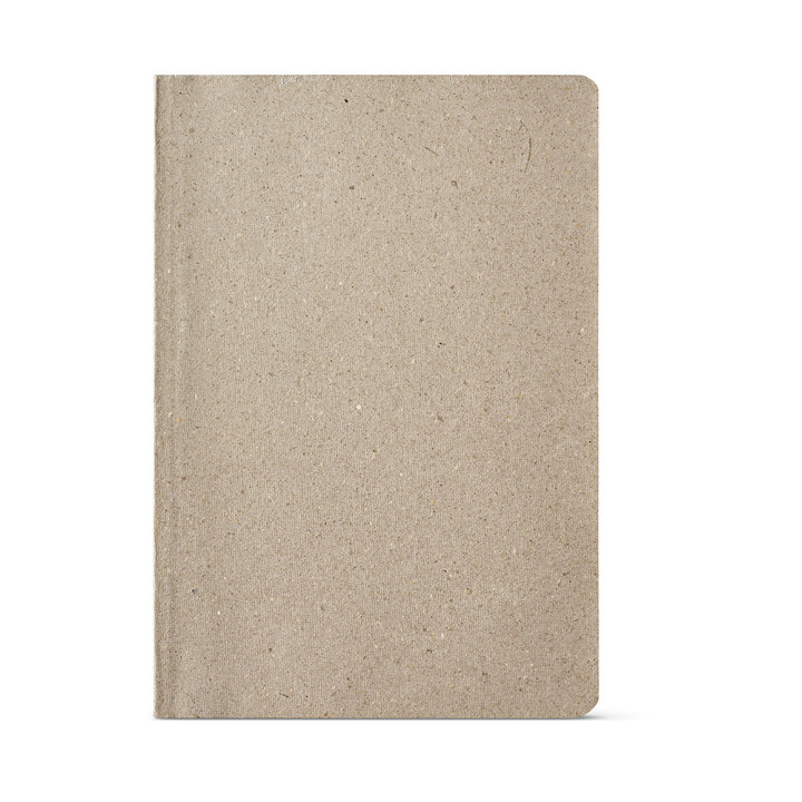 Poe Notebook