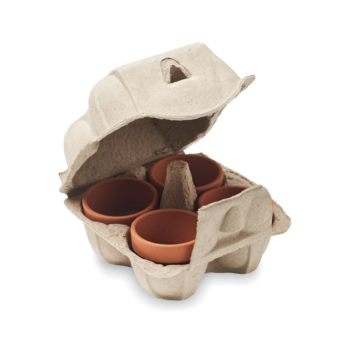 Kit de cultivo em caixa de ovo