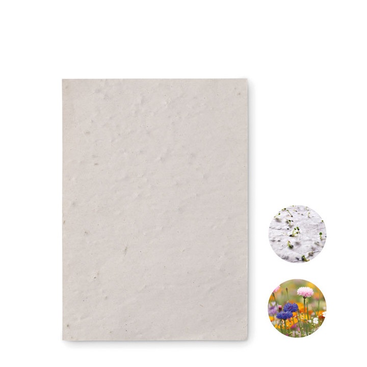 Papel sementes de flores A6