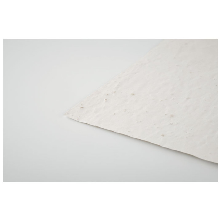 Papel sementes de flores A6